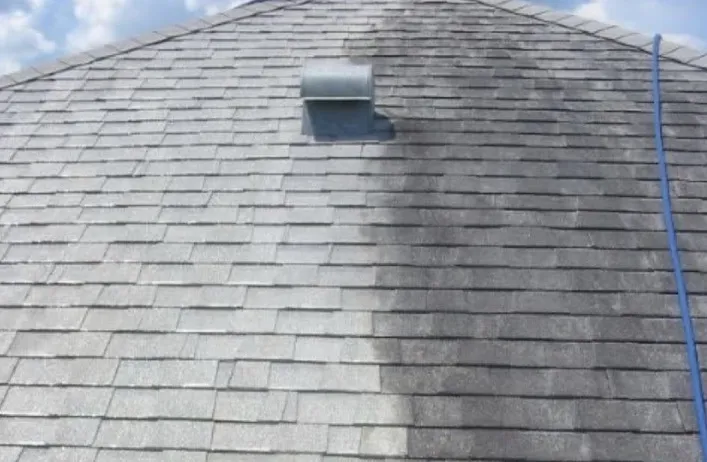 professional pressure washer service