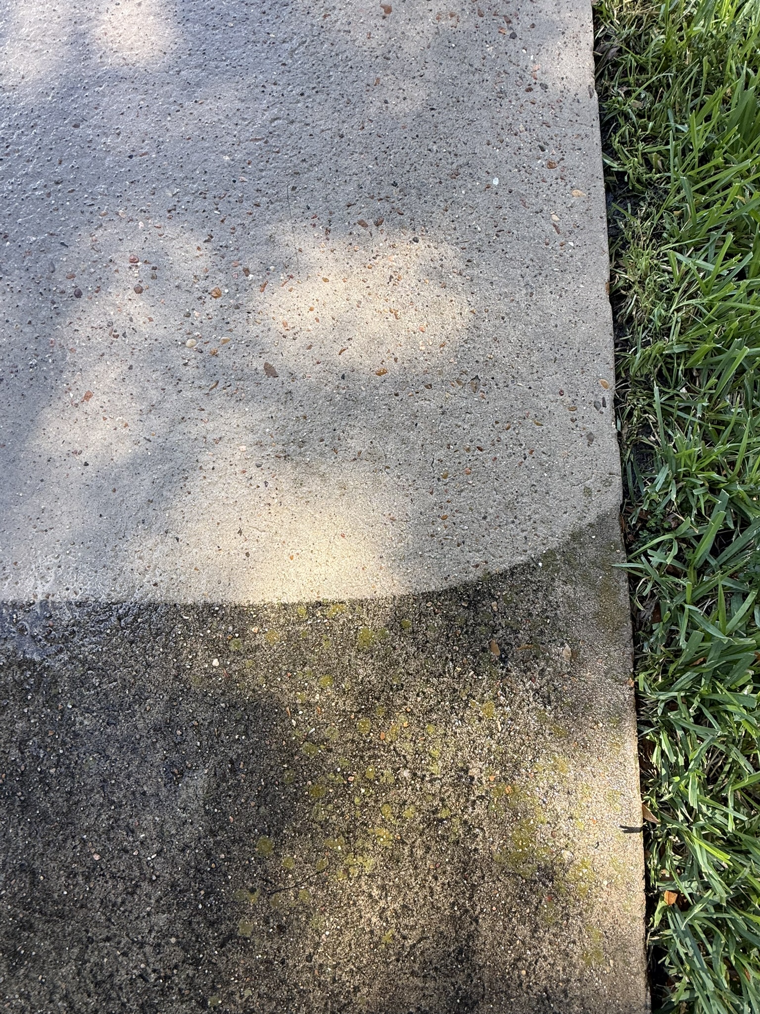 16CD5C88-320E-4DF0-A100-4D1A96EAD61C_1_102_o