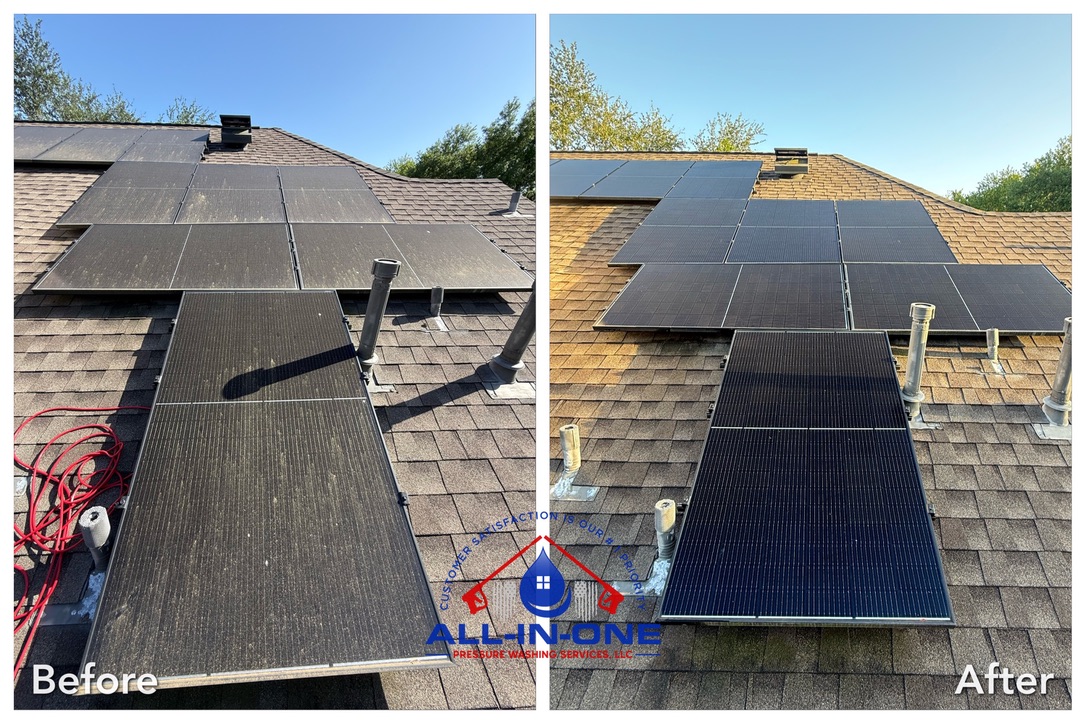 D0B01A7F-8400-442A-B9C9-AD64976D8BFA_1_105_c